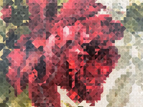 murs avec du pixel art
